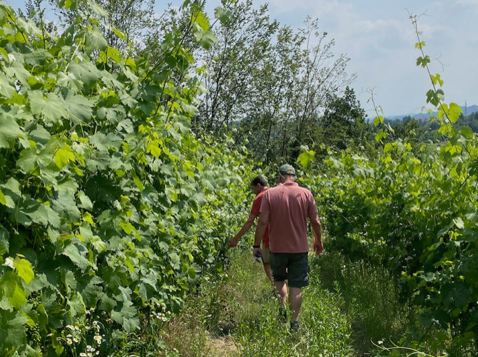 Almondo Bricco Ciliegie