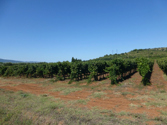 Pepi Lignana, Toscana, Maremma